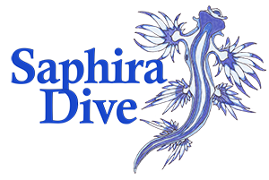 Saphira Dive
