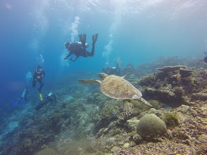 Foto de ubicación de Saphira Dive