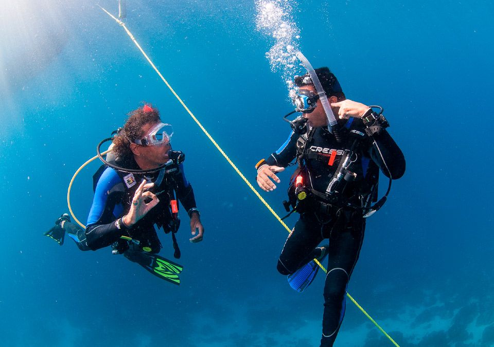Lee más sobre el artículo Diferencias entre PADI Divemaster y PADI Dive Instructor