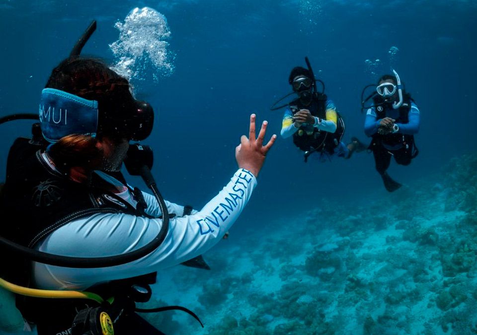 En este momento estás viendo El camino hasta ser Instructor PADI: de Bautizo a IDC