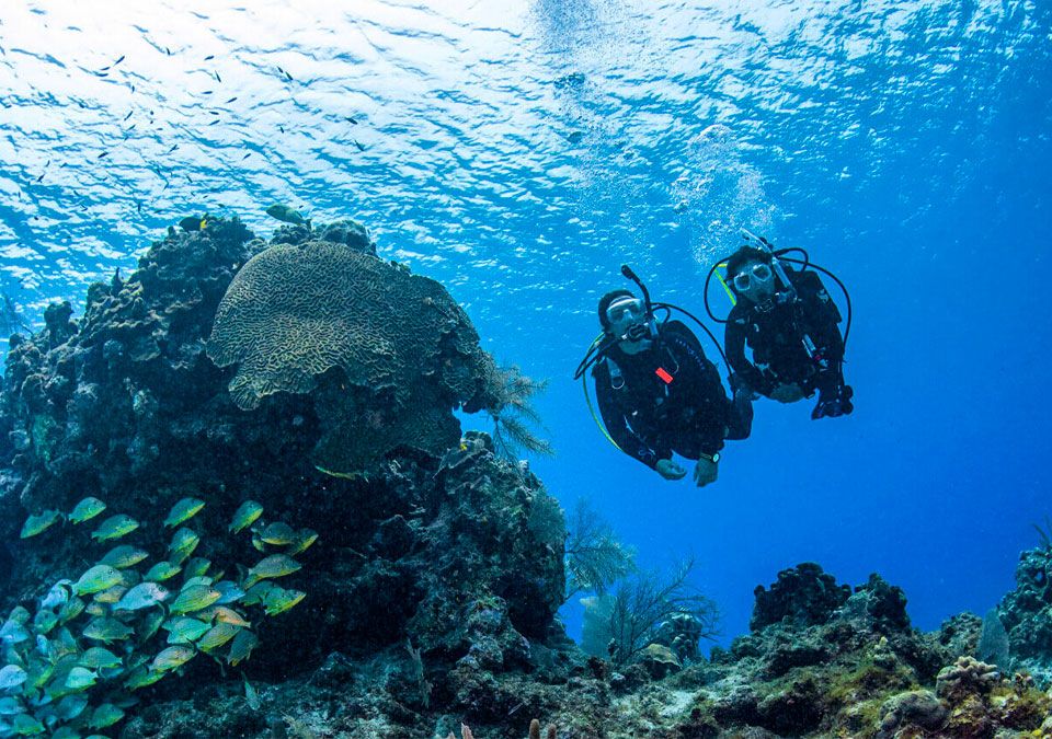 Lee más sobre el artículo Bautizo de buceo vs Open Water: ¿cuál elegir?